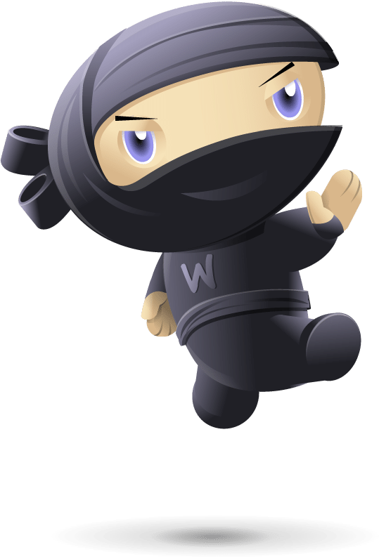 ninja-kick ninja-kick